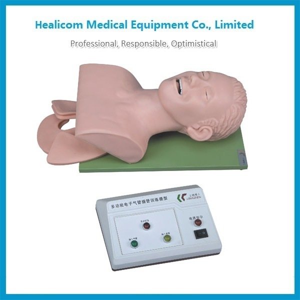 H-3 High Quality Electronic Trachea Intubation Training Model