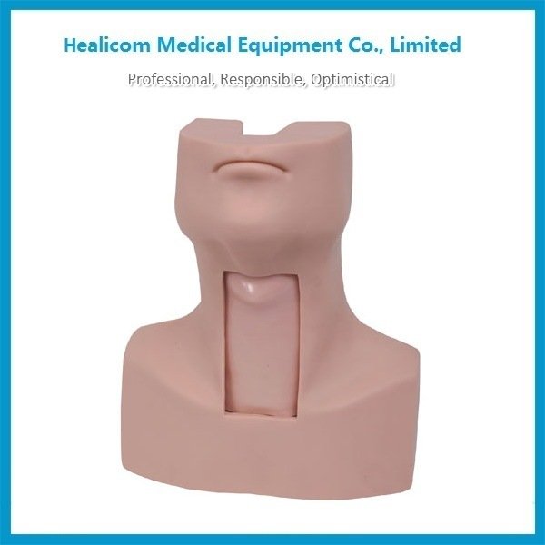 China Supplier H-58 Medical Model Trachea Intubation Training Manikin with Low Price