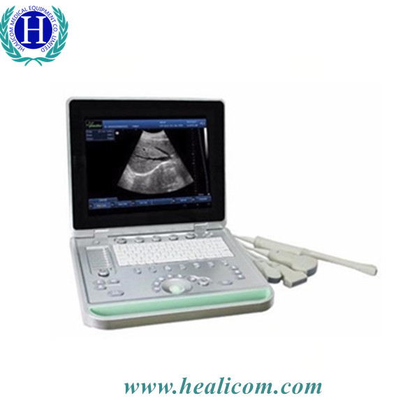 HV-9 Portable Laptop Veterinary Ultrasound Euipment Vet Echo ultrasound Machine 