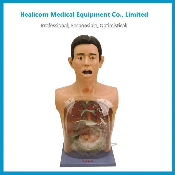 H-A2 Advance Transparent Gastric Lavage Simulator Manikin