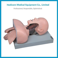 H-50 High Quality Trachea Intubation Training Model