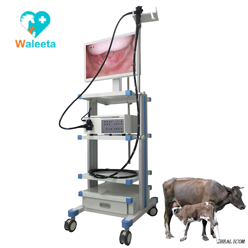 High Quality WET-9000A Medical veterinary small animal video endoscope