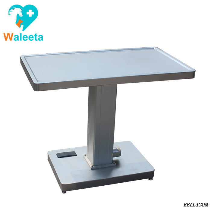 WT-21Stainless Steel Equipped Electronic Scales Multifunctional Electric Weighing Scale Pet Treatment Table