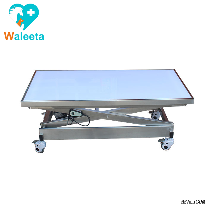 WT-30 304 Stainless Steel Customize Electric Lift Acrylic Lifting Electrical Veterinary Operating Table