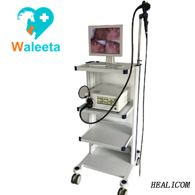 High Quality WTE-9000A 19'' LCD Monitor Video Trolley Endoscope Process&Light Source Veterinary Endoscope
