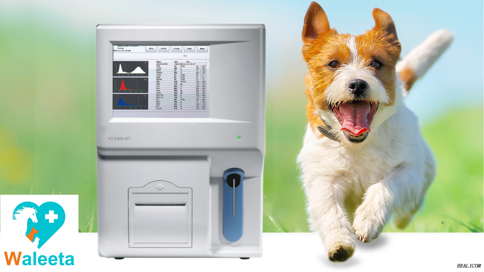 Diagnostic Machine Blood Analysis System KT-6300 VET Animal Veterinary Blood Analyzer Auto Hematology Analyzer