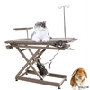 High Quality WT-02 Stainless Steel Hospital Medical Electric Surgery Veterinary Operation Table For Clinic Pets